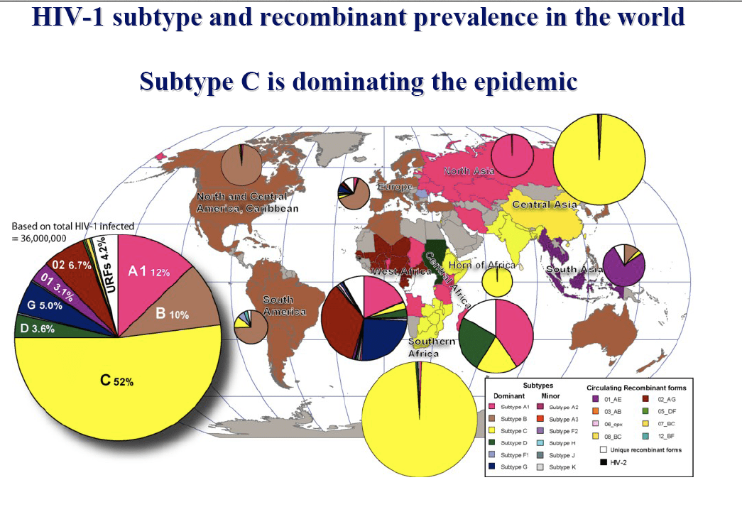 The HIV Subtype Picture Blog HIV Viral Load Monitoring